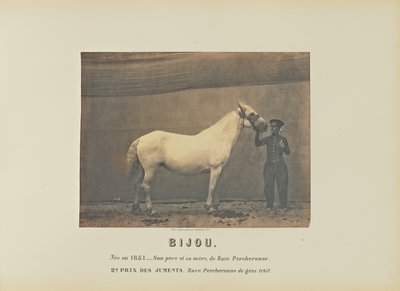 Bijou av Adrien Alban Tournachon