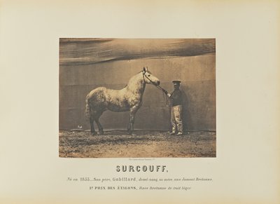 Surcouff av Adrien Alban Tournachon