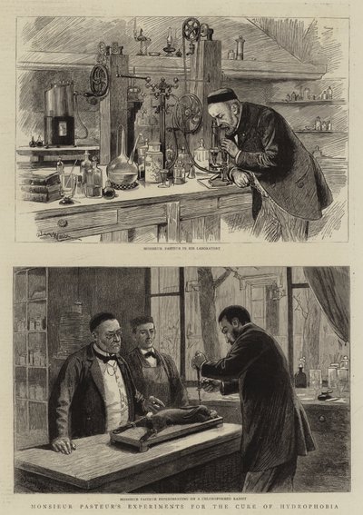 Monsieur Pasteurs experiment för att bota hydrofobi av Adrien Emmanuel Marie