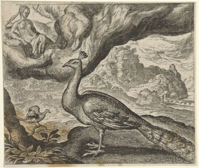 Fabel om påfågeln och näktergalen av Egidius  Sadeler (II)
