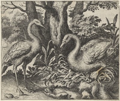 Fabel om Svanen och Storken av Egidius  Sadeler (II)