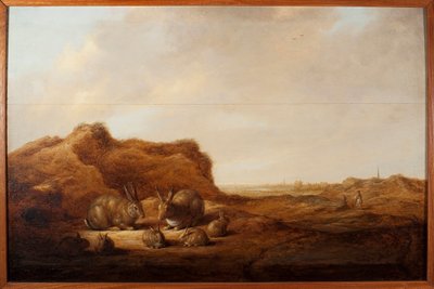 Landskap med kaniner Målning av Albert (Aelbert eller Aelbrecht) Cuyp (1620-1691) 1641-1642 Dim.44x67 cm Genes, Musei di Strada Nuova (ex Palazzo Rosso) av Aelbert Cuyp