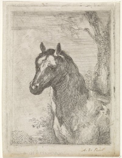 Hästhuvud av Aert Schouman (signed by artist)