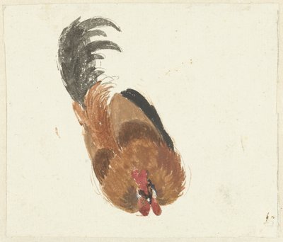 Studie av en död tupp av Aert Schouman