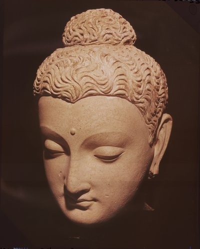 Buddhahuvud, grekisk-buddhistisk stil, från Hadda (stuckatur) av Afghan School