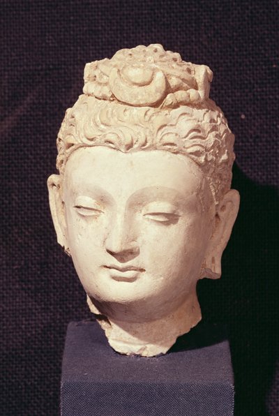 Head of a Buddha, grekisk-buddhistisk stil, från Hadda (stuckatur) av Afghan School
