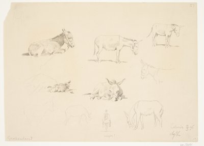 Studieblad med djur. av Agnes Lunn
