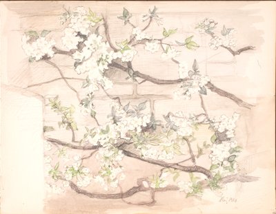 Äppelblommor av Agnes Slott Møller
