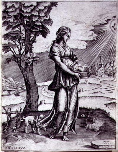 Cumaean Sibyll av Agostino Musi