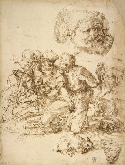 En grupp herdehundar och andra studier av Agostino Carracci