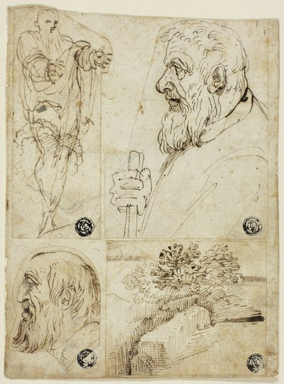 Fyra skisser: Stående mansfigur; byst av skäggig man i profil; huvud av skäggig man i profil; landskap av Agostino Carracci