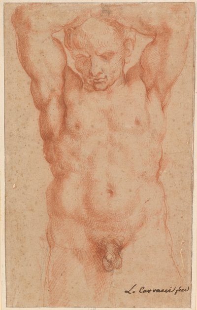 Naken man av Agostino Carracci