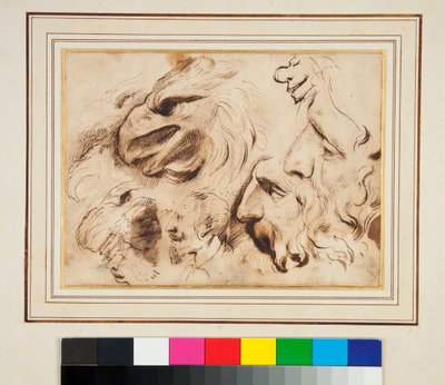 Studieark med huvudet av en örn och mäns profiler och karikatyrer (penna och brunt bläck och lite brunt tvätt) av Agostino Carracci