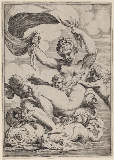 Venus eller Galatea med stöd av delfiner av Agostino Carracci