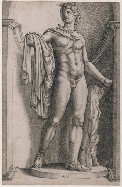Mirror of Roman Magnificence: Apollo Belvedere, ca. 1514-36, ca. 1514-36. av Agostino Veneziano