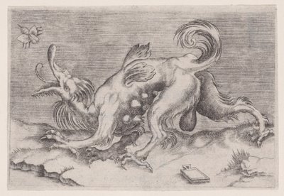 Draken och biet, ca. 1514-36. av Agostino Veneziano