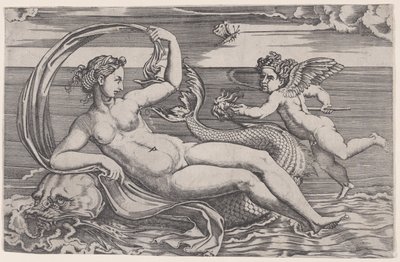 Venus liggande på en delfin, ca. 1516. av Agostino Veneziano