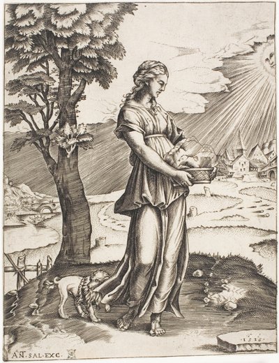 Cumaean Sybil av Agostino dei Musi