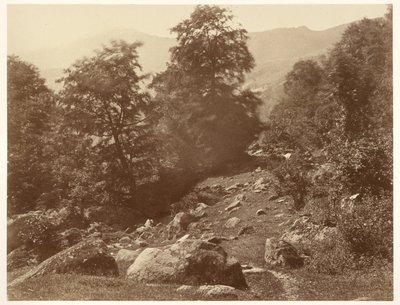 La Vallée du Lys (Coup de Vent) av Aimé Civiale