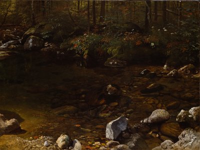 Skuggig damm, White Mountains, New Hampshire av Albert Bierstadt
