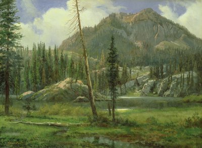 Sierra Nevada-bergen av Albert Bierstadt