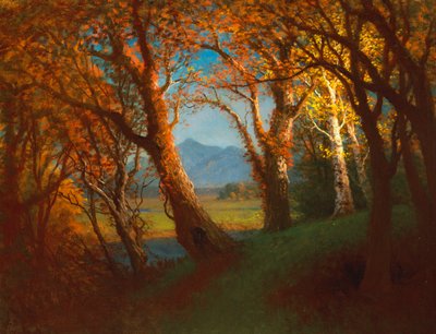 Solnedgång i Nebraska-territoriet av Albert Bierstadt