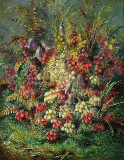 Klockblomma, askglim, ljung och fjäril. Målning av Albert Durer Lucas (1828-1918) av Albert Durer Lucas