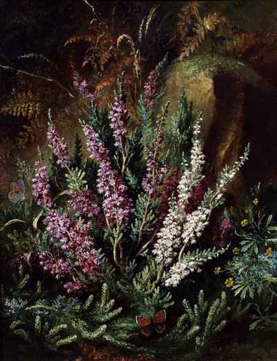 Stilleben med ljung och fjärilar. Målning av Albert Durer Lucas (1828-1918) Privat samling. av Albert Durer Lucas