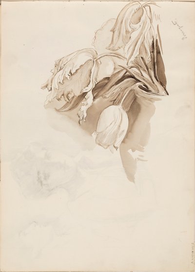 Tulpaner av Albert Edelfelt