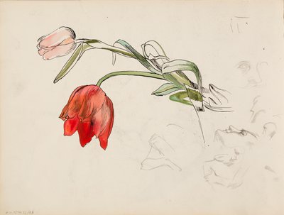 Tulpaner, ansiktsundersökningar av Albert Edelfelt