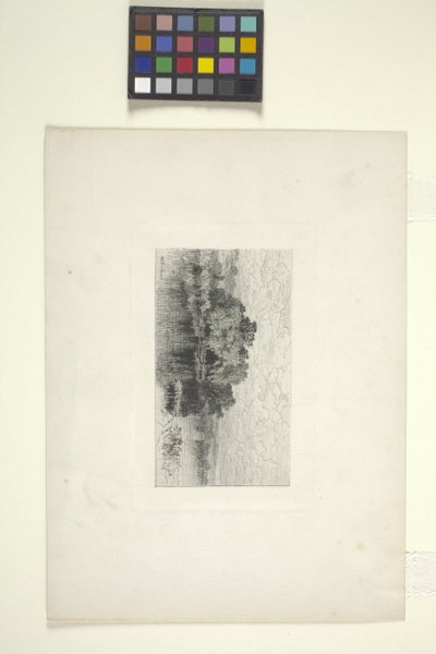 Landskap med sjö (bläck) av Albert Fitch Bellows