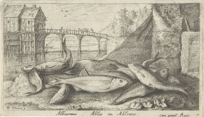 Alvers på en flodstrand alburnus. Ables eller Ablettes. (titel på objekt) Fiskar och andra havsdjur - sötvattens andra serie (serietitel) Seconde partie de Poissons d