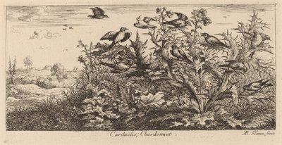 Carduelis, Guldfinken av Albert Flamen