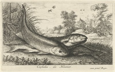 Tre färnar på en flodstrand cefalus. Le Meunier. (titel på objekt) Fiskar och andra havsdjur - första serien i sötvatten (serietitel) Diverse Especes de Poissons d