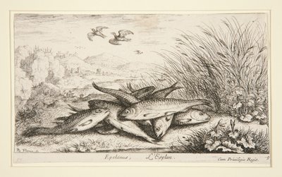 Epelanus, L av Albert Flamen