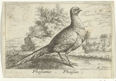 Landschap met fazant Fasan Fasan. (titel på objekt) Tretton fåglar (serietitel) Olika fågelarter (serietitel) av Albert Flamen