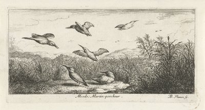 Landskap med kungsfiskare alcedo; Martin-pecrack. (titel på objekt) Fågelbok (serietitel) Livre d