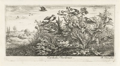 Landskap med guldfink i tistel Carduelis; Chardonneret. (titel på objekt) Fågelbok (serietitel) Livre d