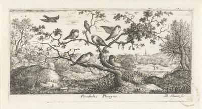 Landskap med snipor ficedula; Piuoyne. (titel på objekt) Fågelbok (serietitel) Livre d