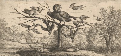 Monedula, Chouëtte Uggla: Livre d