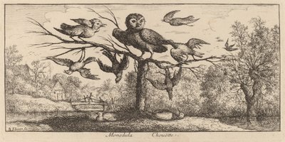 Monedula, ugglan av Albert Flamen