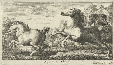 Hästar Equus le Cheval (titel på objekt) Olika djurarter (serietitel) av Albert Flamen