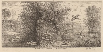 Rusticula moll, Snipen av Albert Flamen
