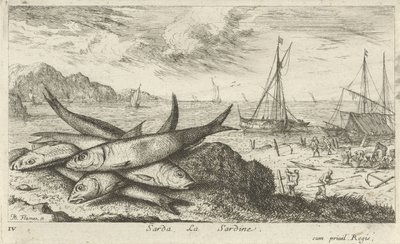 Sardiner på stranden Sarda, La Sardine. (titel på objekt) Fiskar och andra havsdjur - saltvatten första serie (serietitel) Diverse Especes de Poissons de mer (serietitel) av Albert Flamen