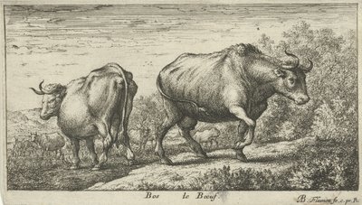 tjurar Bos le Boeuf (titel på objekt) Olika djurarter (serietitel) av Albert Flamen