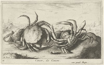 Två krabbor på stranden Cancer, Le Cancre (titel på objekt) Fiskar och andra havsdjur - saltvatten första serie (serietitel) Diverse Especes de Poissons de mer (serietitel) av Albert Flamen