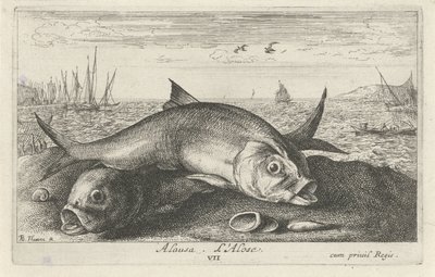 Två får fiska på stranden alausa. L