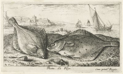 Två plattfiskar på stranden psetta. La Plye. (titel på objekt) Fiskar och andra havsdjur - saltvattens andra serie (serietitel) Poissons de mer (serietitel) av Albert Flamen