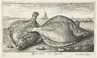 Två rödspätta på stranden Quadratulus. LeQuarlet. (titel på objekt) Fiskar och andra havsdjur - saltvatten tredje serie (serietitel) Poissons de mer (serietitel) av Albert Flamen
