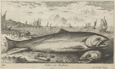 Två laxar på stranden Lax. Le saulmon (titel på objekt) Fiskar och andra havsdjur - saltvatten första serie (serietitel) Diverses Especes de Poissons de mer (serietitel) av Albert Flamen
